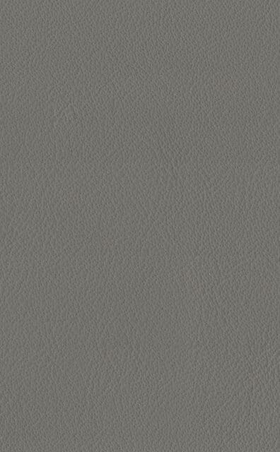 Mercury Taupe Lederprobe