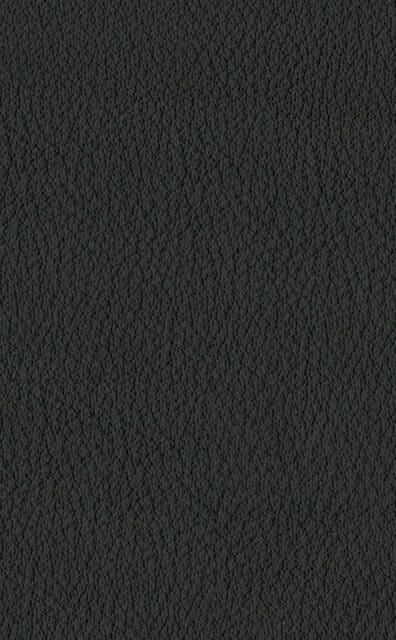 Mercury Anthracite Lederprobe