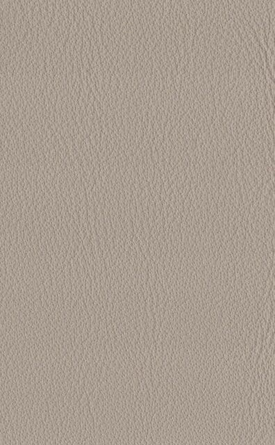 Mercury Clay Lederprobe
