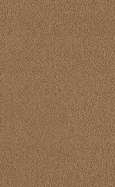 Mercury Caramel Lederprobe