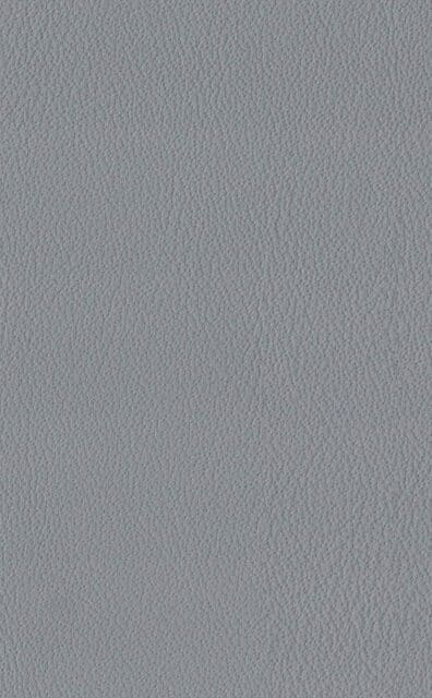 Mercury Iron Lederprobe