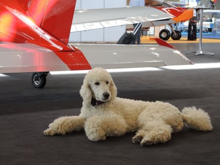 BRISTELL at AERO Friedrichshafen 2016