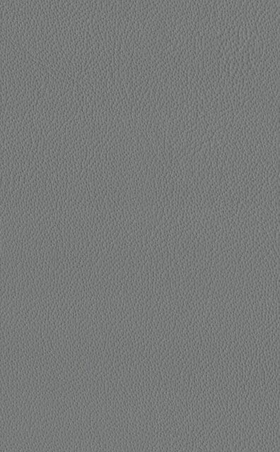 Mercury Steel Lederprobe