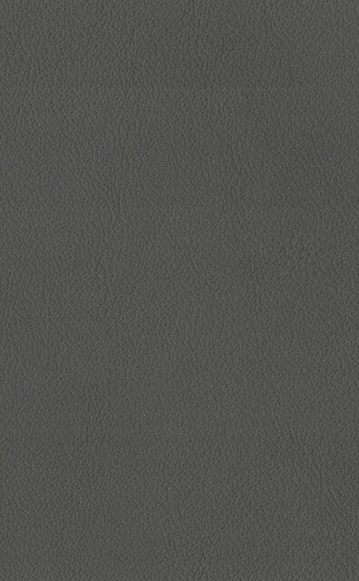 Mercury Graphite Lederprobe