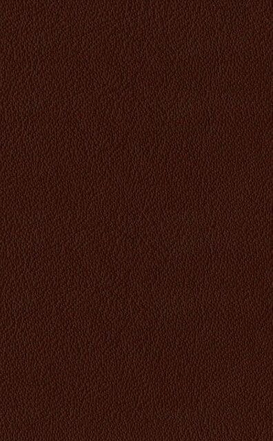 Mercury Burgundy Lederprobe