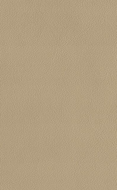 Mercury Beige Lederprobe