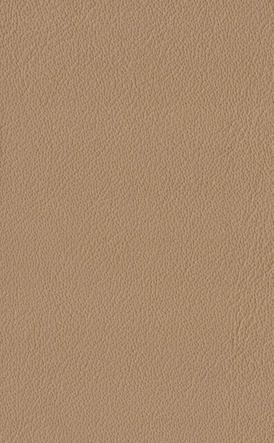 Mercury Champagne Lederprobe