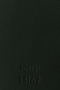 FOREST 15162