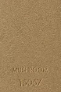 MUSHROOM 15067