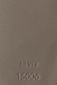 SILVER 15006